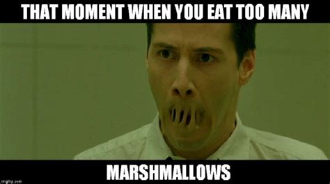 Image result for Matrix Factorization Meme