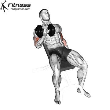 Toradh íomhá ar Sitting Dumbbell Curls