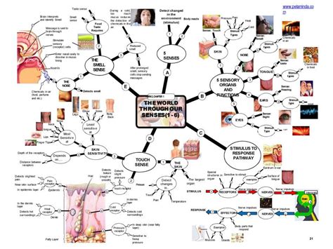 Form 2 Chapter 1 Notes に対する画像結果