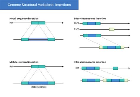 Toradh íomhá ar Structural Variation