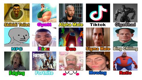 Image result for Brainrot Python Meme