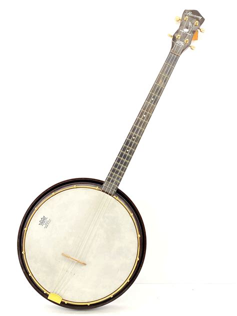 Afbeeldingsresultaten voor 4 String Banjo