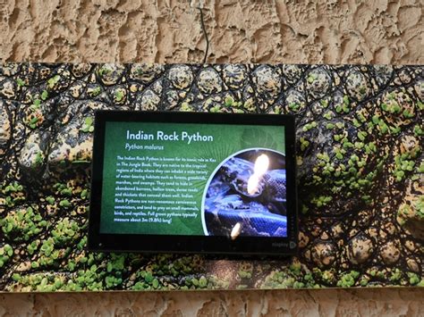 Image result for Jungle Python Zoo Signage