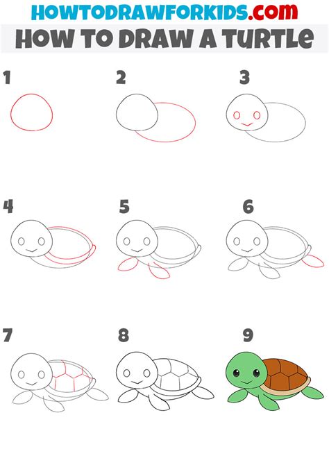Toradh íomhá ar Turtle Drawing Step by Step
