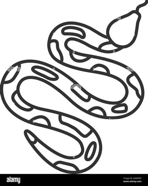 Toradh íomhá ar Python Snake Vector Outline