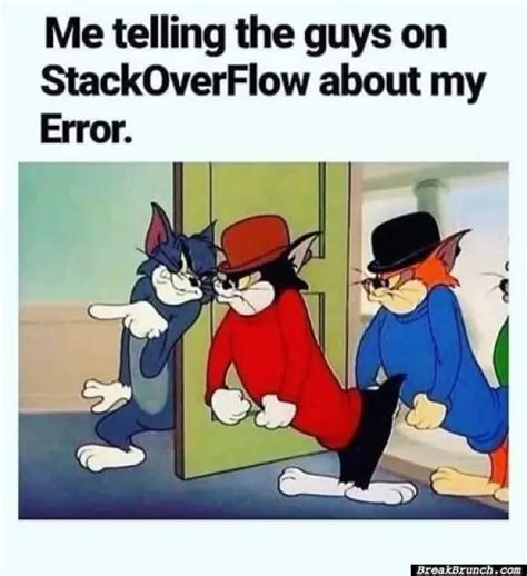 Meme About Stack Overflow に対する画像結果