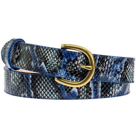 Image result for Python Blue Belt