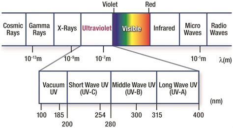 Image result for UV Light Relief Valve Installation
