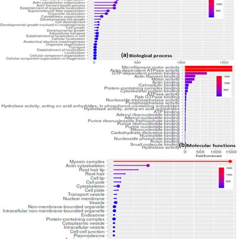 Image result for Biological Functioning Example