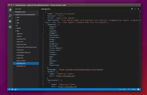 Image result for Tampilan Visual Studio Code Di Linux