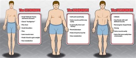 Type Body Builder に対する画像結果