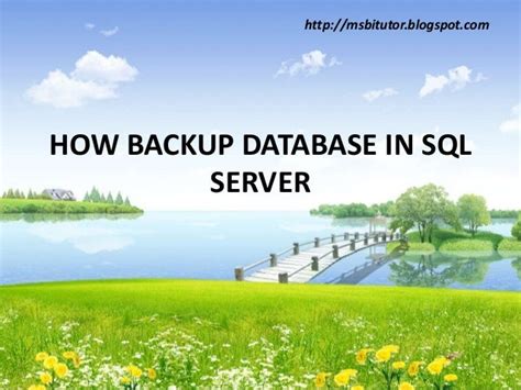 Afbeeldingsresultaten voor SQL Server Backup Database Command
