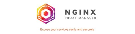 Image result for Nginx Proxy Manager Asus Router
