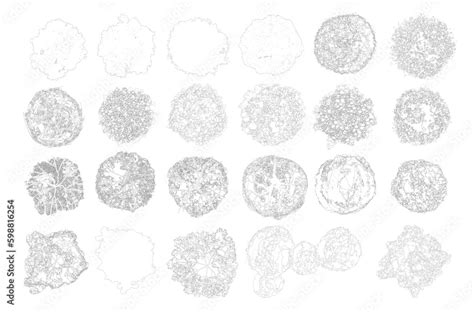 Tree plan cad line. Vector tree top view isolated on white background ...