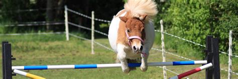 Image result for How to Jump a Mini Cooper