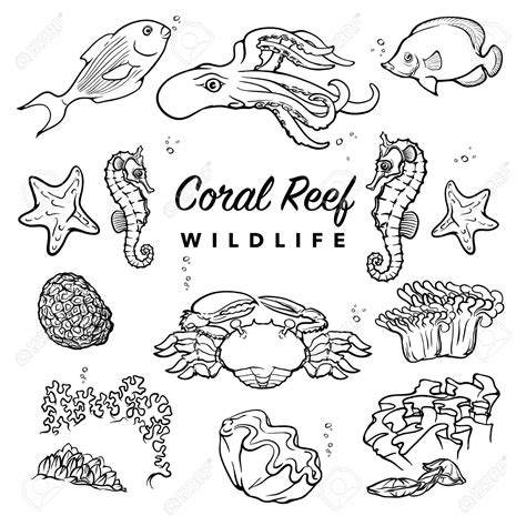 Image result for Coral Drawing Tutorial