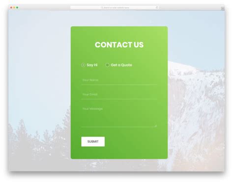 Image result for Contact Form HTML Template Practice