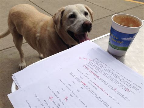 Toradh íomhá ar Read This Words Script Writing