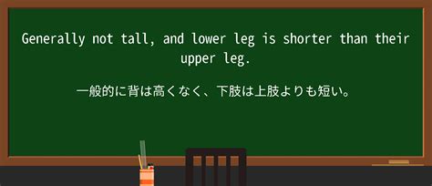 Python Hidden Leg に対する画像結果