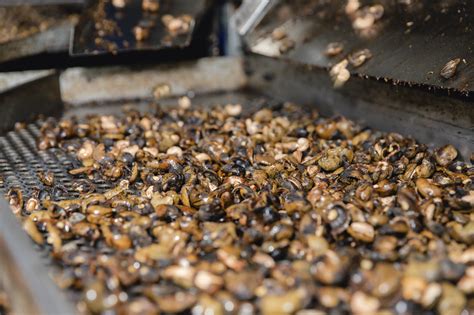 Image result for Factory Extracts EFT