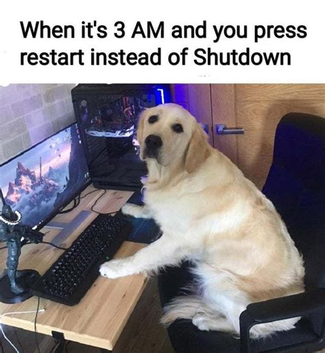 Image result for Facing Infront of Computer Meme