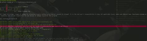 Sqlmap Example 的图像结果