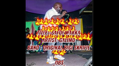 Image result for Safoe Script