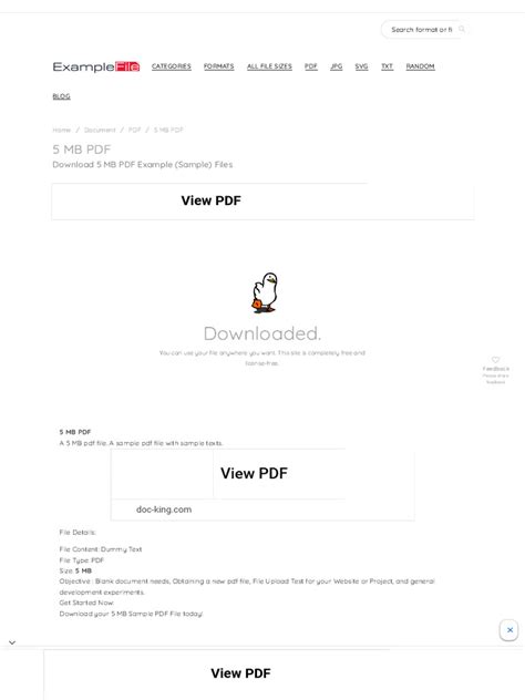 Image result for Sample 25Mb PDF File