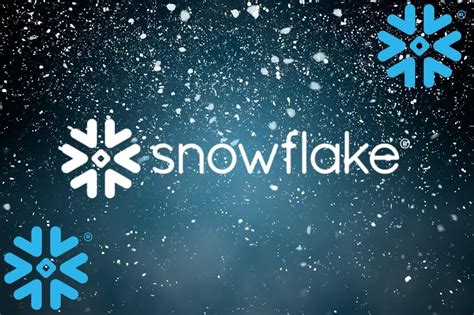 Image result for Snowflake Inc. Review