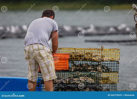 Toradh íomhá ar Oyster Farming Process