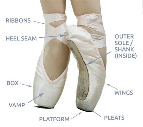 Beginning Pointe Work に対する画像結果