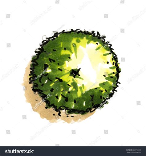 Image result for Tree Symbol Landscape Drawing