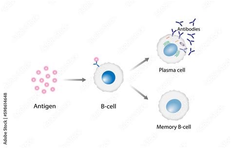 Memory Cell എന്നതിനുള്ള ഇമേജ് ഫലം
