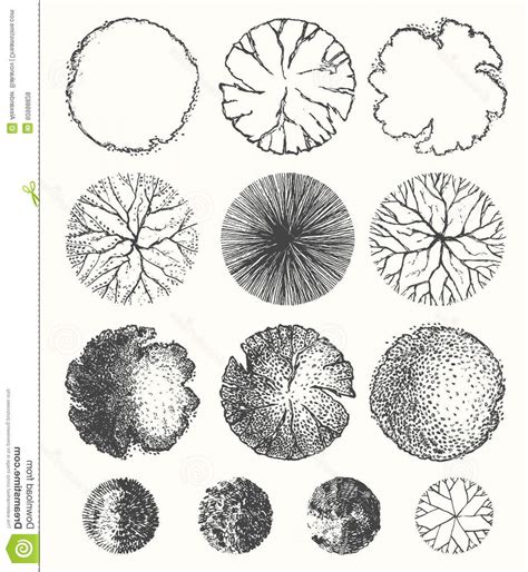 Image result for TreePlan Vector