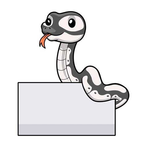 Image result for White Ball Python Cartoon