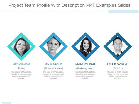 Image result for Project Profile Examples