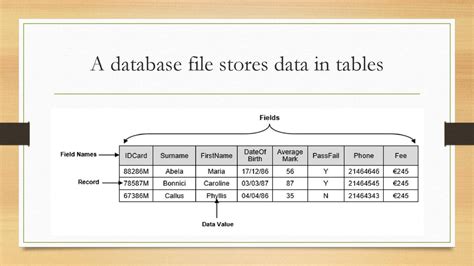 Toradh íomhá ar What Is a Database File