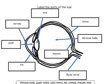 Toradh íomhá ar Label Sort Key