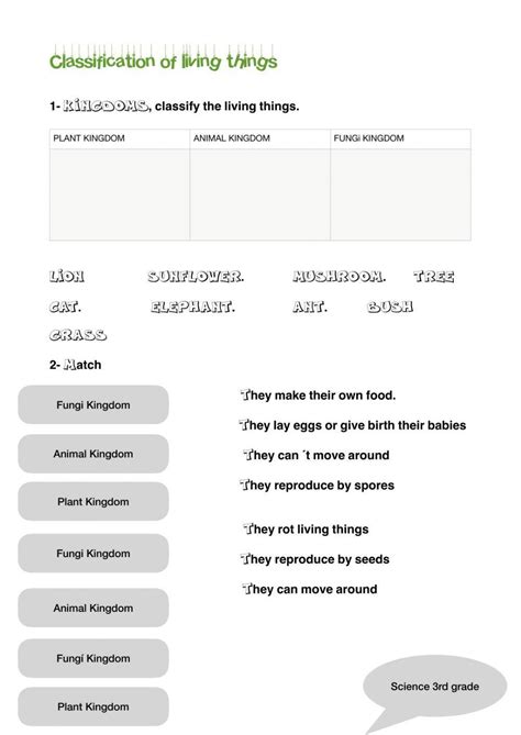 Toradh íomhá ar Classification of Library