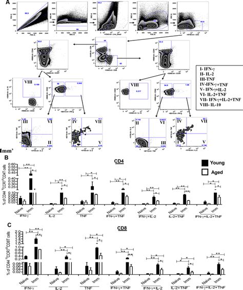 Afbeeldingsresultaten voor Multiparameter Flow Cytometry