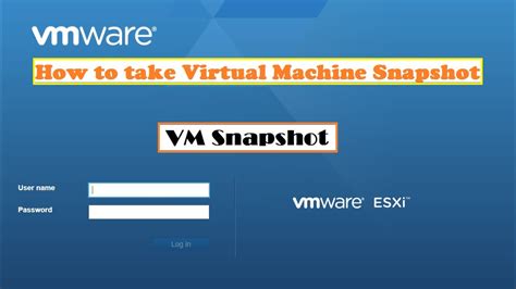 Image result for Virtual Machine Snapshot