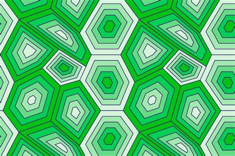 Image result for A Small Turtle with a Pattern Shell