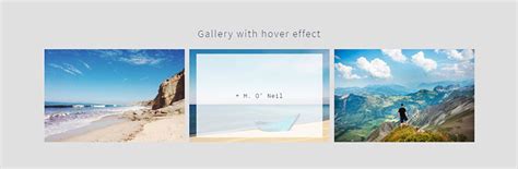 Image result for CSS Gallery Example