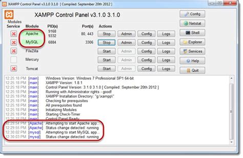 Image result for How to Use SQL Tutorial in Xampp