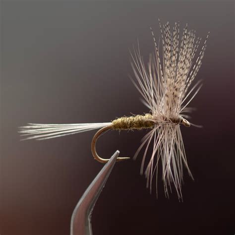Image result for Cricket Dry Fly Pattern
