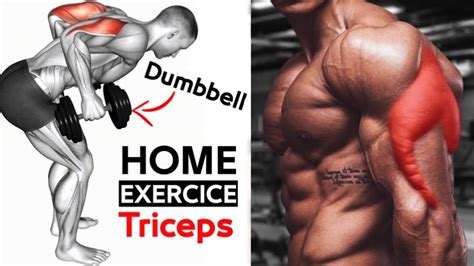 Image result for Good Tricep Workouts