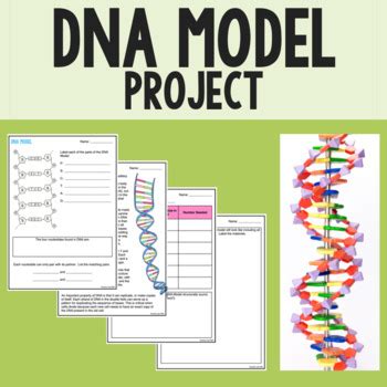 Image result for DNA Model Worksheet