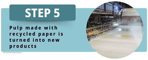 Image result for The Paper Recycling Process Explained