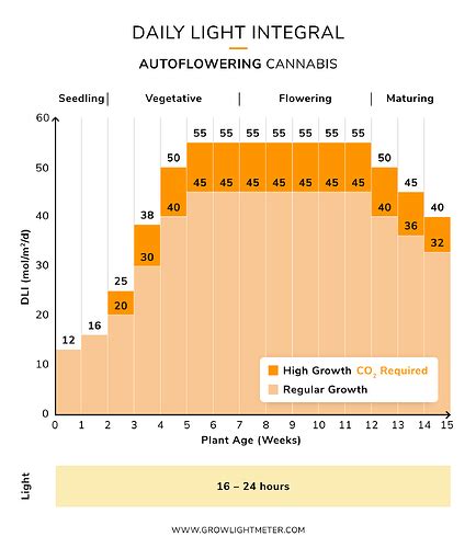 Autoflower Grow Chart に対する画像結果
