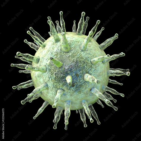 Image result for EBV Virus